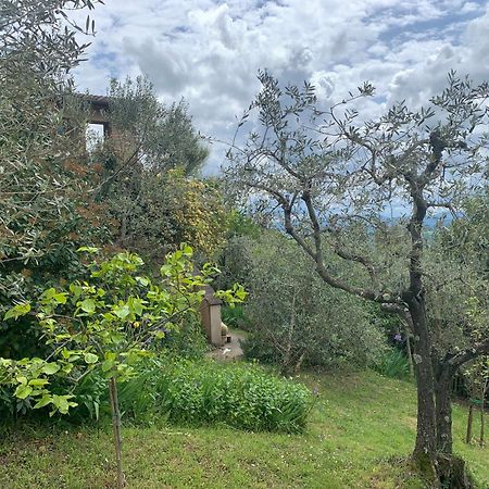 Podere Casallorto Volterra Luaran gambar