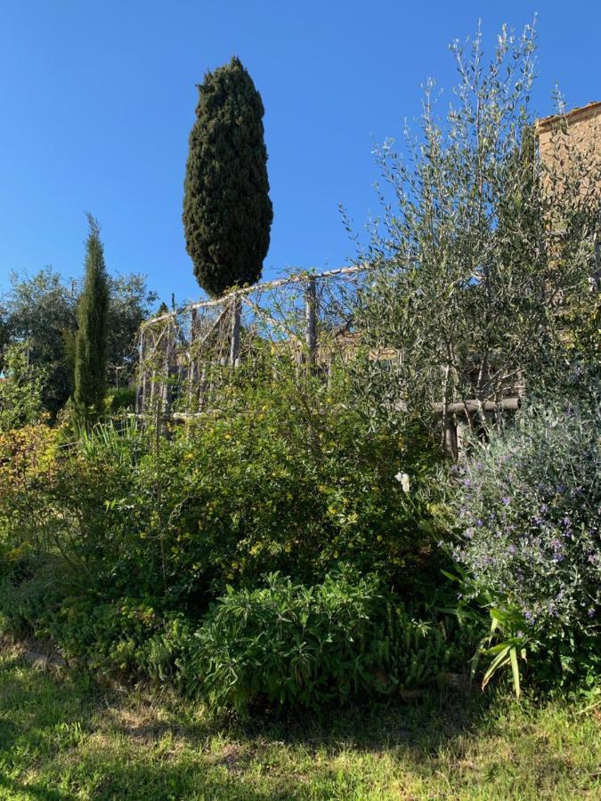 Podere Casallorto Volterra Luaran gambar