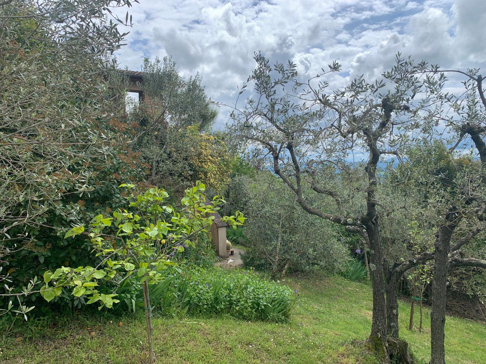 Podere Casallorto Volterra Luaran gambar